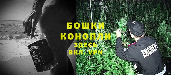 дурь Новодвинск