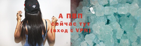 гашик Новокубанск