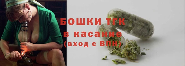 дурь Новодвинск